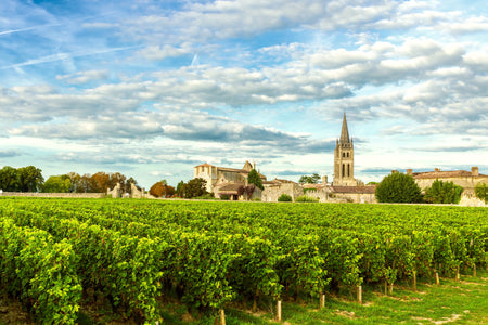 Bordeaux Has Spoken: The Rise of Marselan in the Wine World